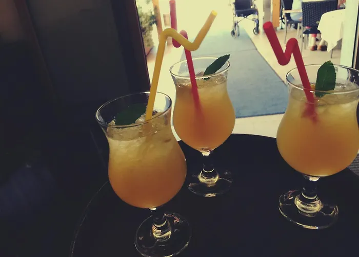 Hotel Marinsek Naklo